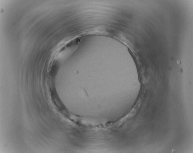 X0000070400193200606302020