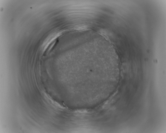 X0000070400194200606302020