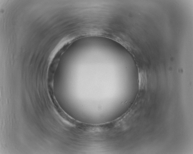 X0000070400195200606302020