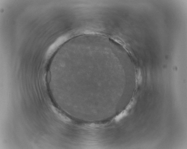 X0000070400197200606302020