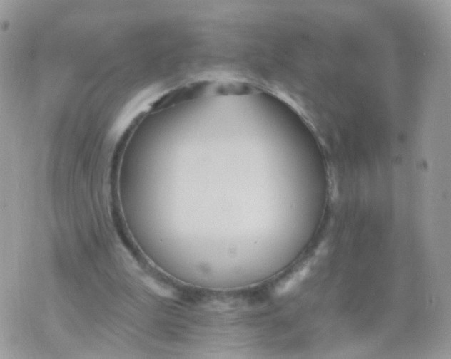 X0000070400199200606302020