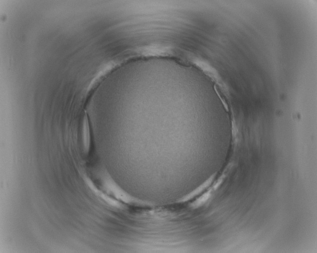 X0000070400201200606302020