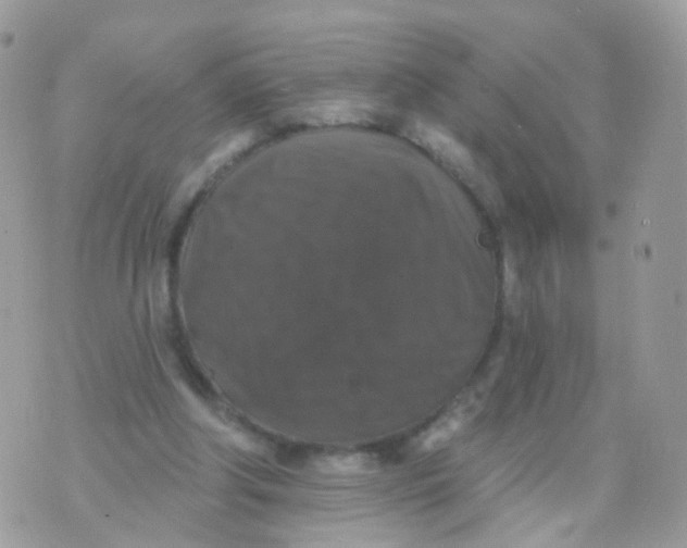 X0000070400202200606302020