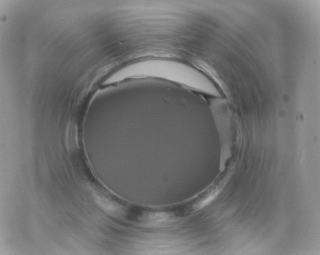 X0000070400205200606302019