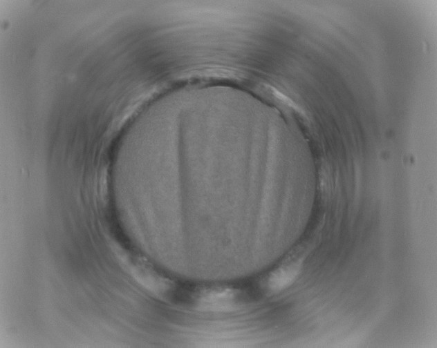 X0000070400206200606302019