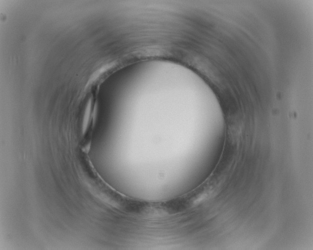 X0000070400207200606302019