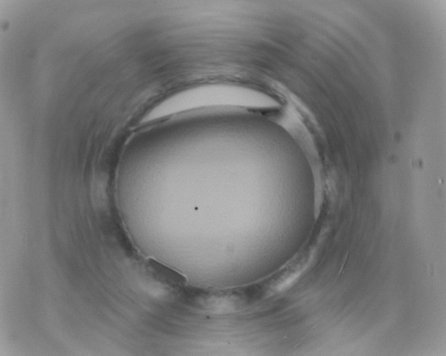 X0000070400209200606302019