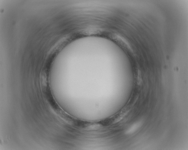 X0000070400210200606302019