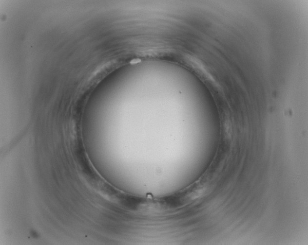 X0000070400211200606302019