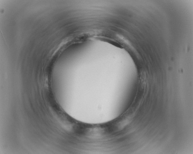 X0000070400212200606302019