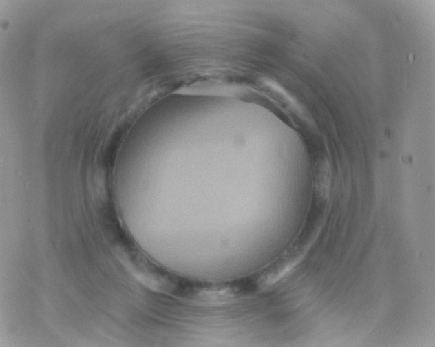 X0000070400213200606302019