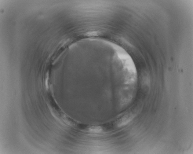 X0000070400214200606302019