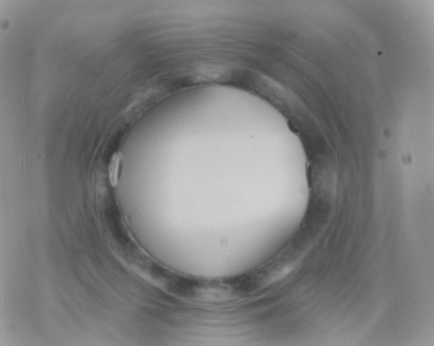 X0000070400215200606302019