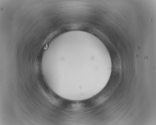 X0000070400216200606302019