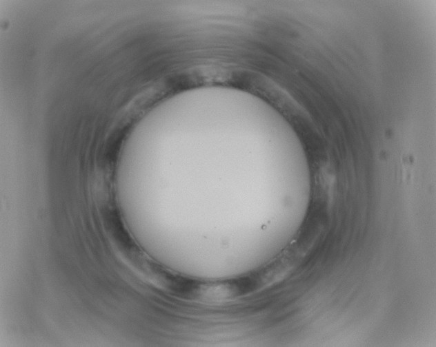 X0000070400218200606302019