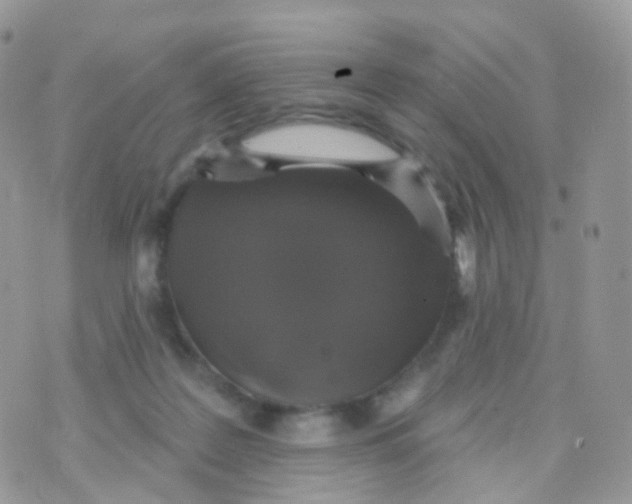 X0000070400219200606302019