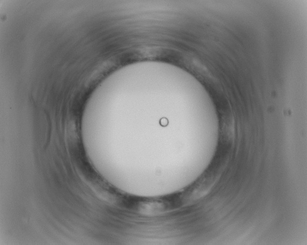 X0000070400220200606302019