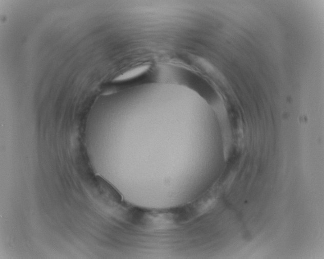 X0000070400221200606302019