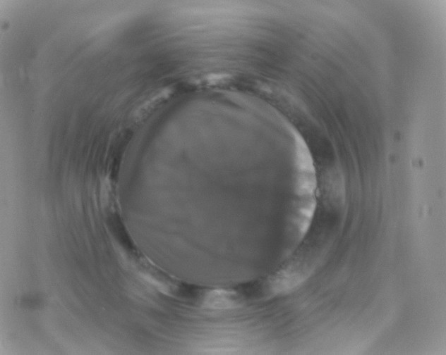 X0000070400222200606302019