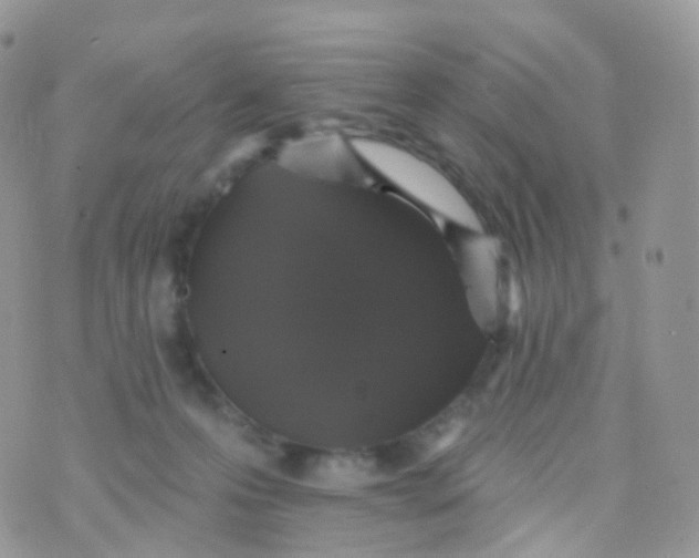 X0000070400223200606302019