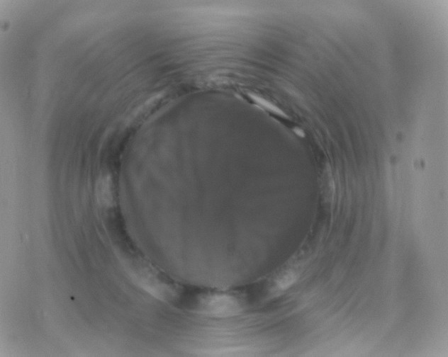 X0000070400224200606302019