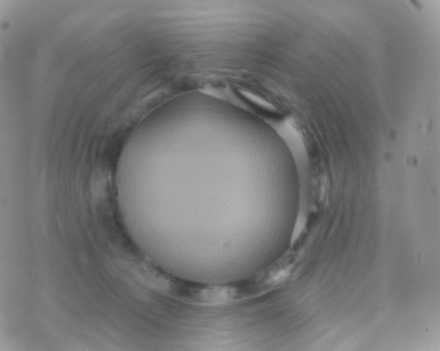 X0000070400225200606302019