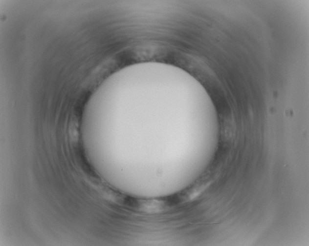 X0000070400226200606302019