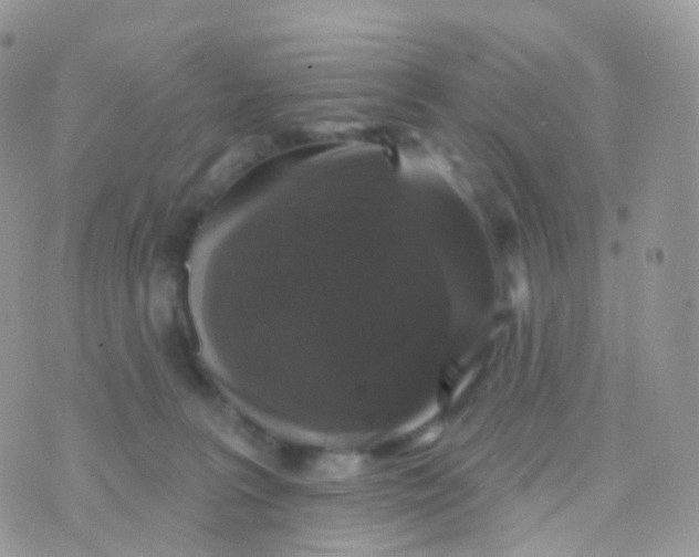 X0000070400227200606302019