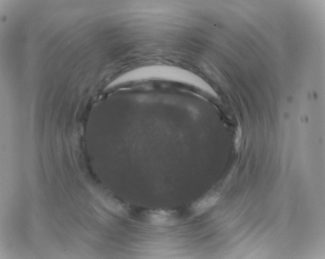 X0000070400229200606302019