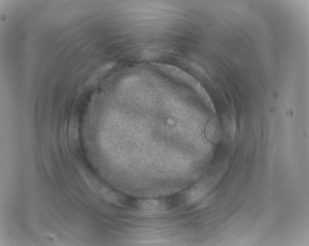 X0000070400230200606302019