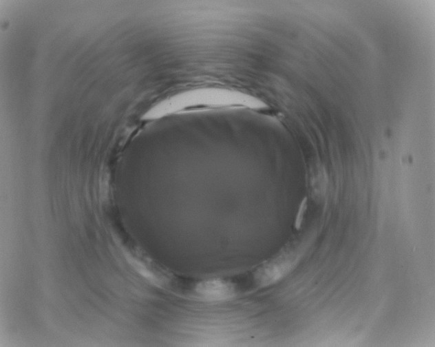 X0000070400231200606302019