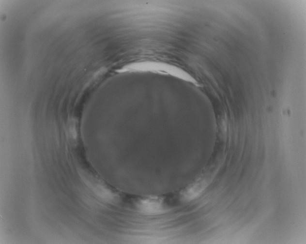 X0000070400232200606302019