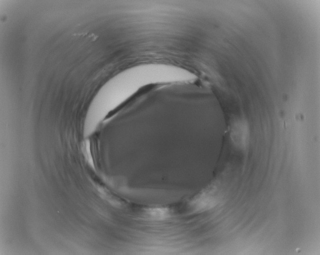 X0000070400233200606302019