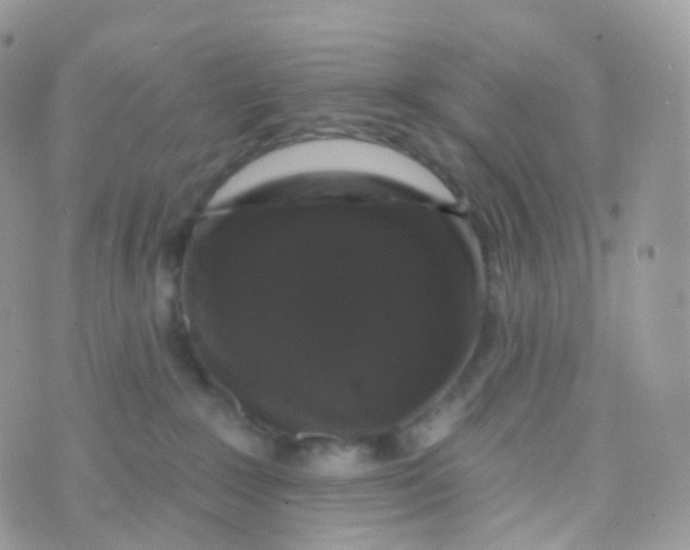 X0000070400235200606302019