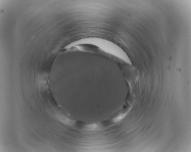 X0000070400237200606302019