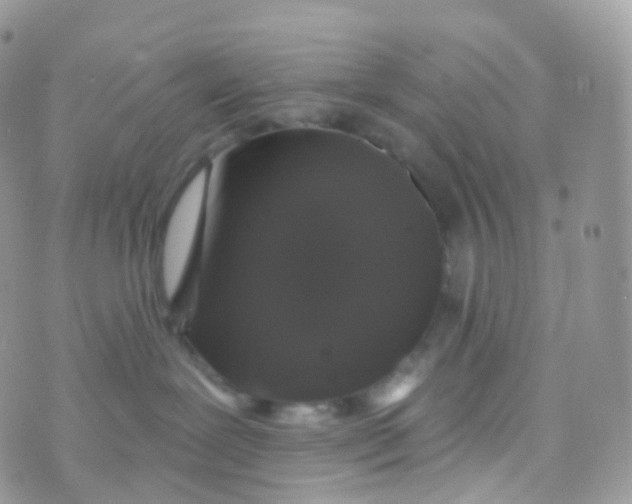 X0000070400239200606302019