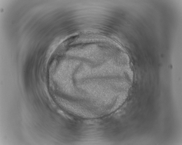 X0000070400241200606302018