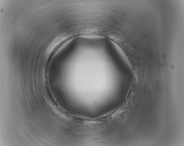 X0000070400242200606302018