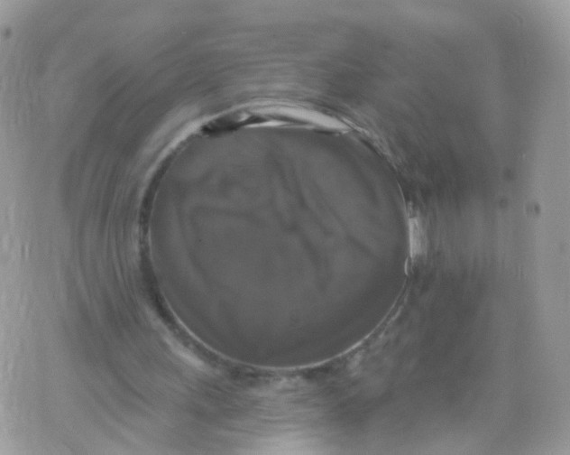 X0000070400243200606302018