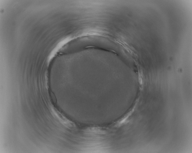 X0000070400244200606302018