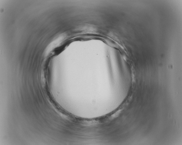 X0000070400245200606302018