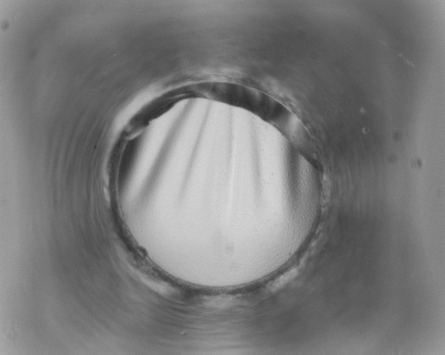 X0000070400246200606302018