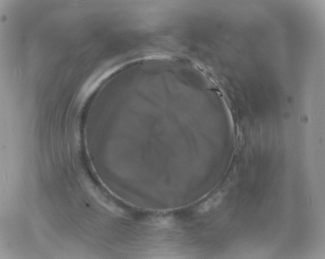 X0000070400247200606302018