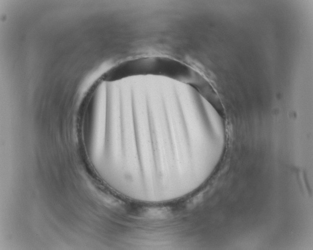 X0000070400248200606302018