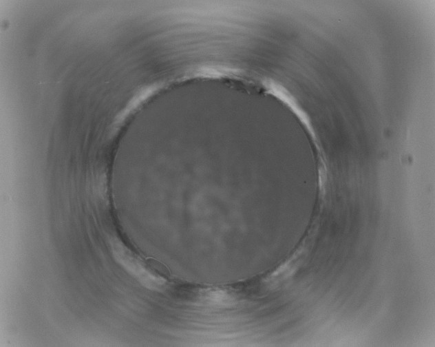 X0000070400249200606302018