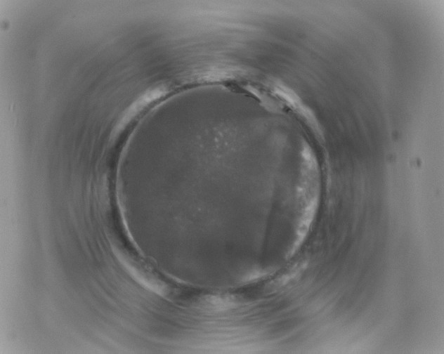 X0000070400250200606302018