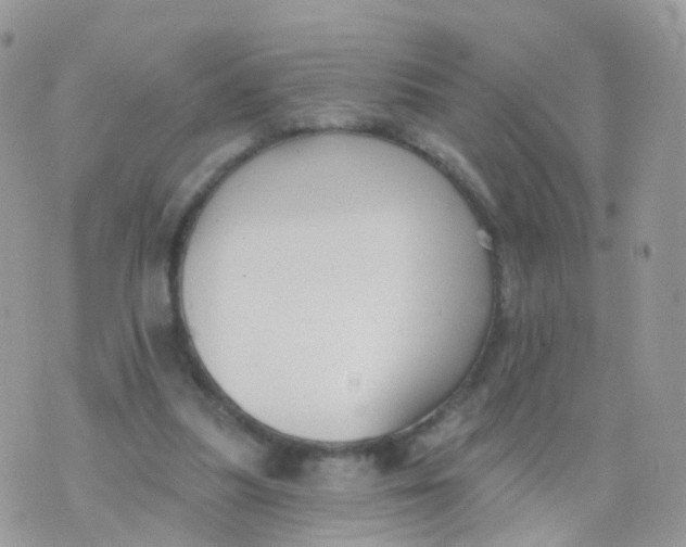 X0000070400251200606302018