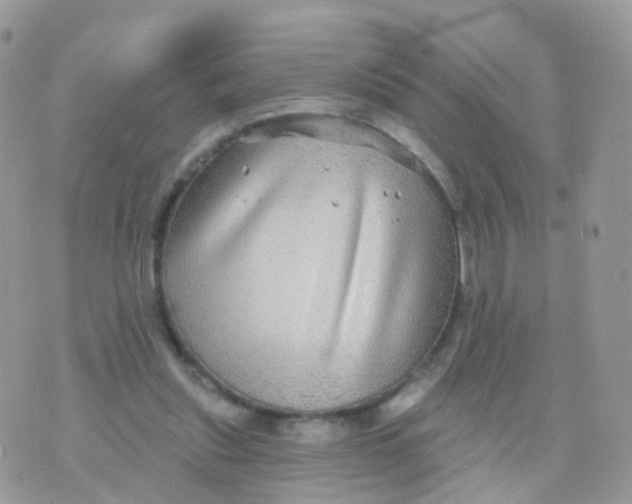 X0000070400253200606302018