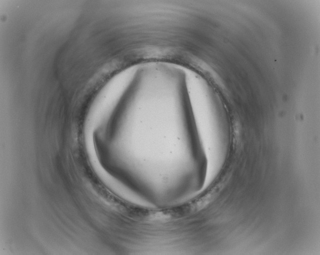 X0000070400257200606302018