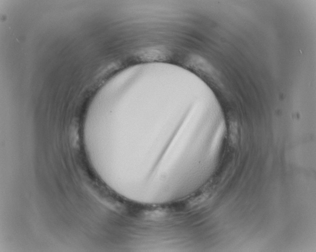 X0000070400259200606302018